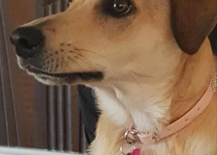 Greco Lägenhetshotell