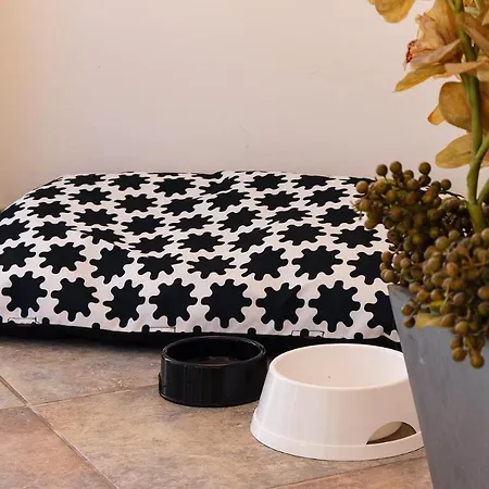 Ξενοδοχείο με διαμερίσματα Greco San Bartolomeo Al Mare