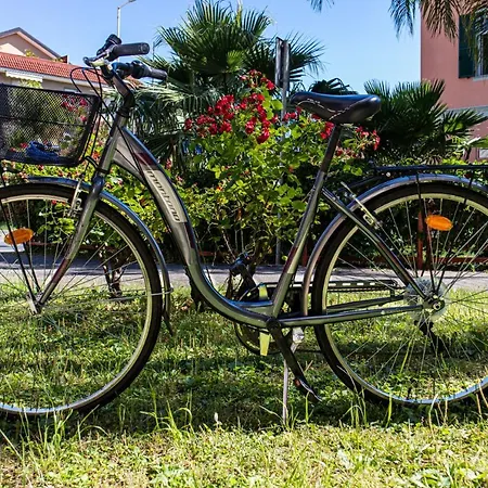 Greco Сан-Бартоломео-аль-Маре