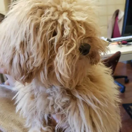 Greco Апарт-отель