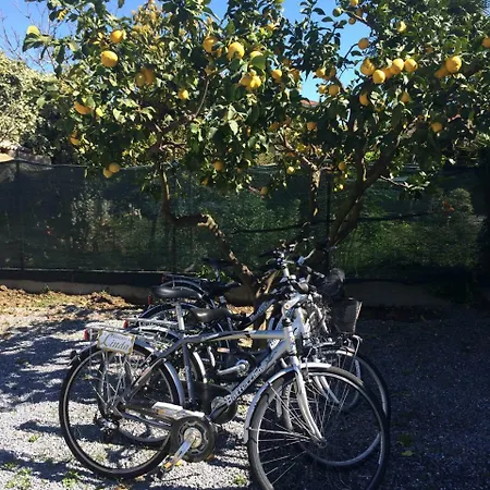 Greco Апарт-отель 4*