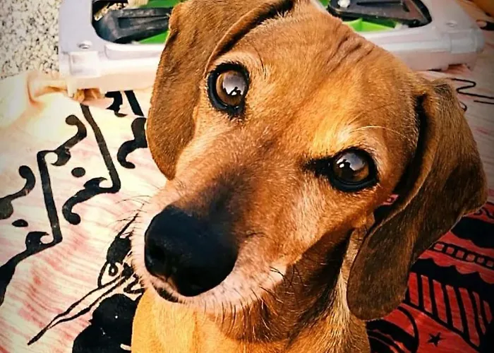 Greco San Bartolomeo Al Mare